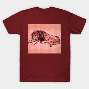 THE CAPE LION LYING DOWN, by Rembrandt Pink Red Hues T-Shirt